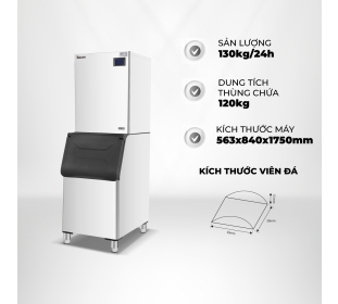 MÁY LÀM ĐÁ VIÊN P-EMIC XJ300A